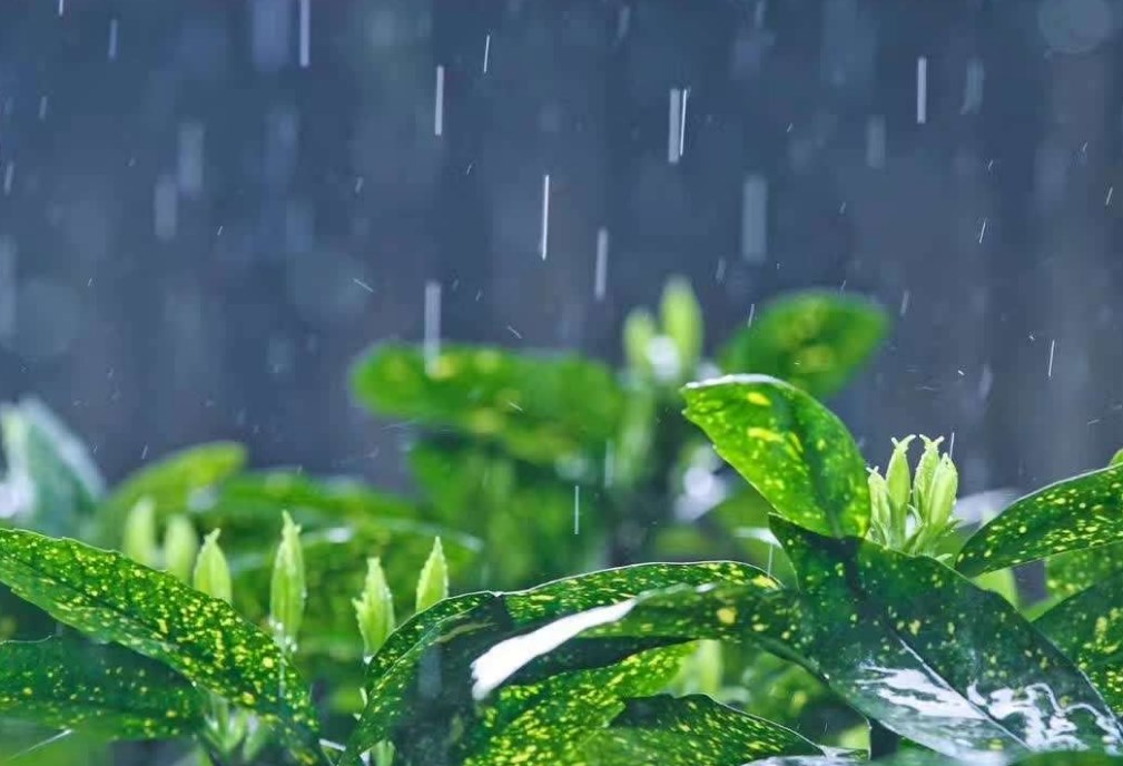 妇科凝胶代加工-春天湿气重 女人不除湿易被妇科病缠身-西安中天生物